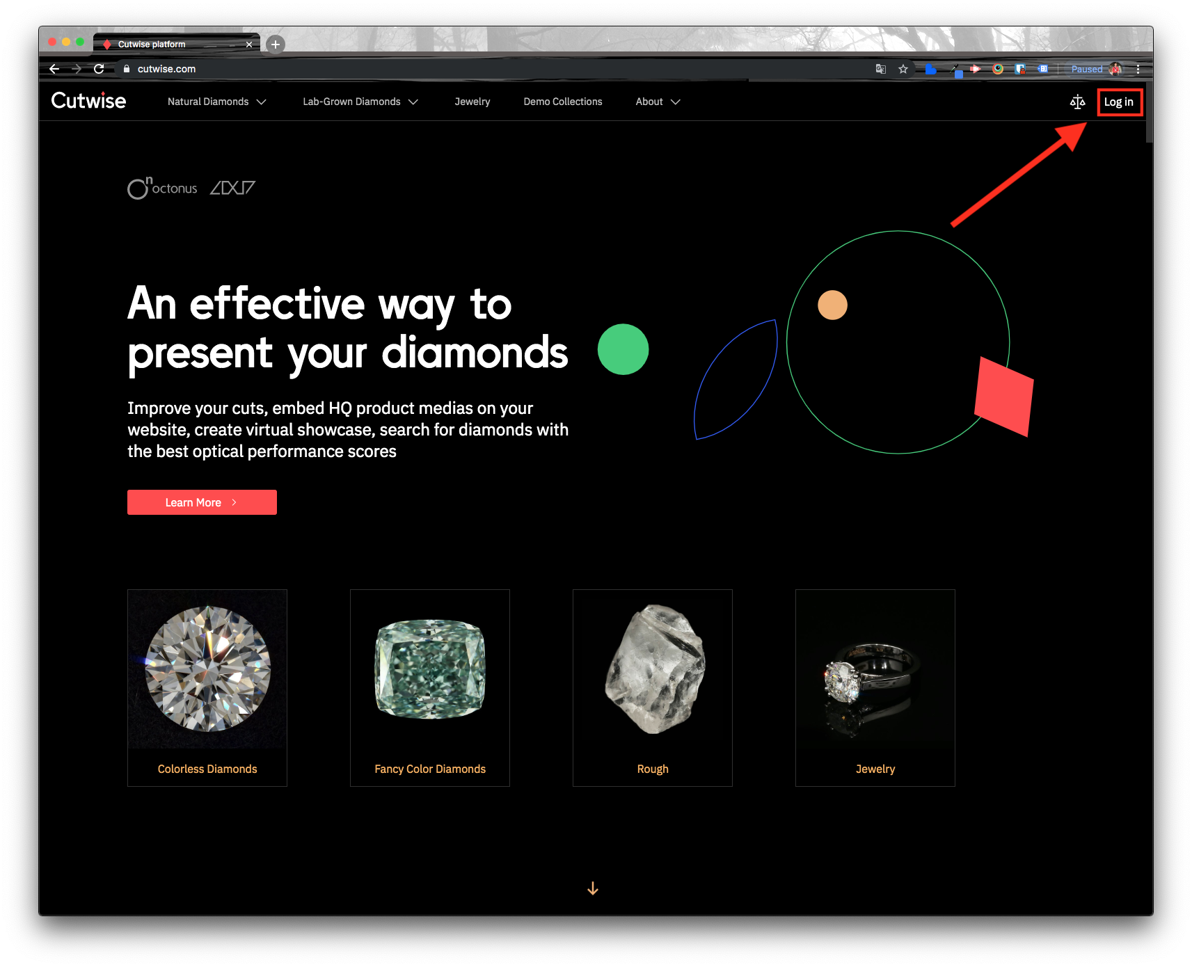 The Cutwise login page