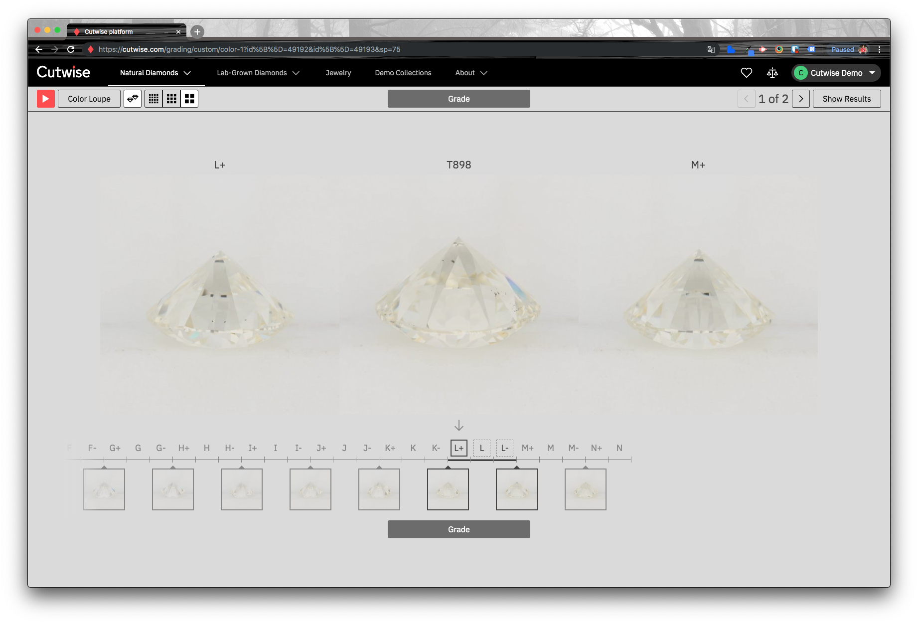 The color grading demo page