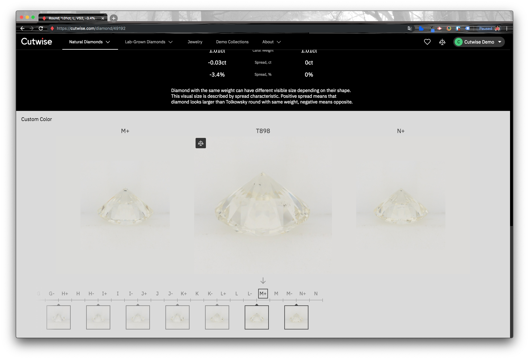The Custom Color section on the diamond page, with the diamond between two color references