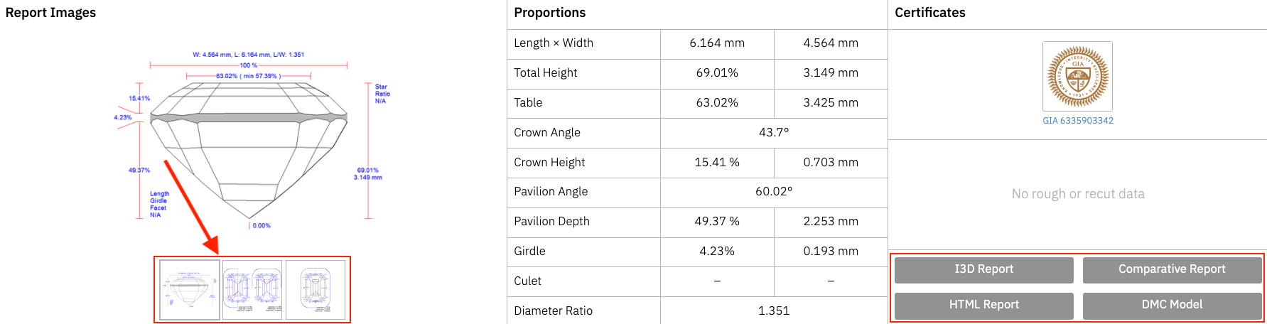 Diamond page with the model and reports hidden and the proportion images visible