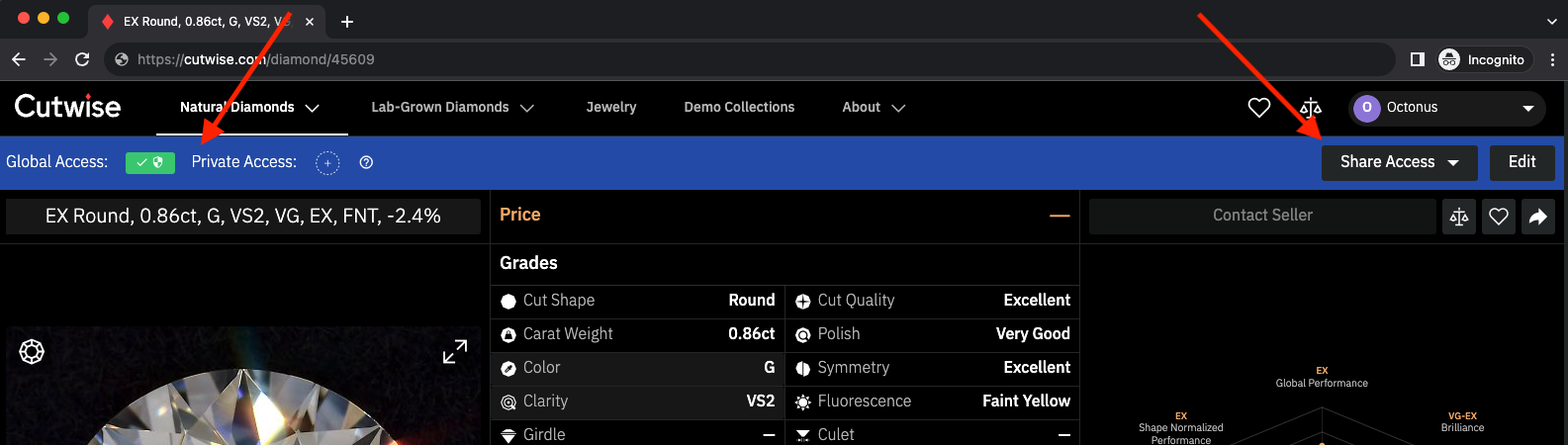 Top of a diamond page with the Global Access and Private Access indicators and the Share Access button