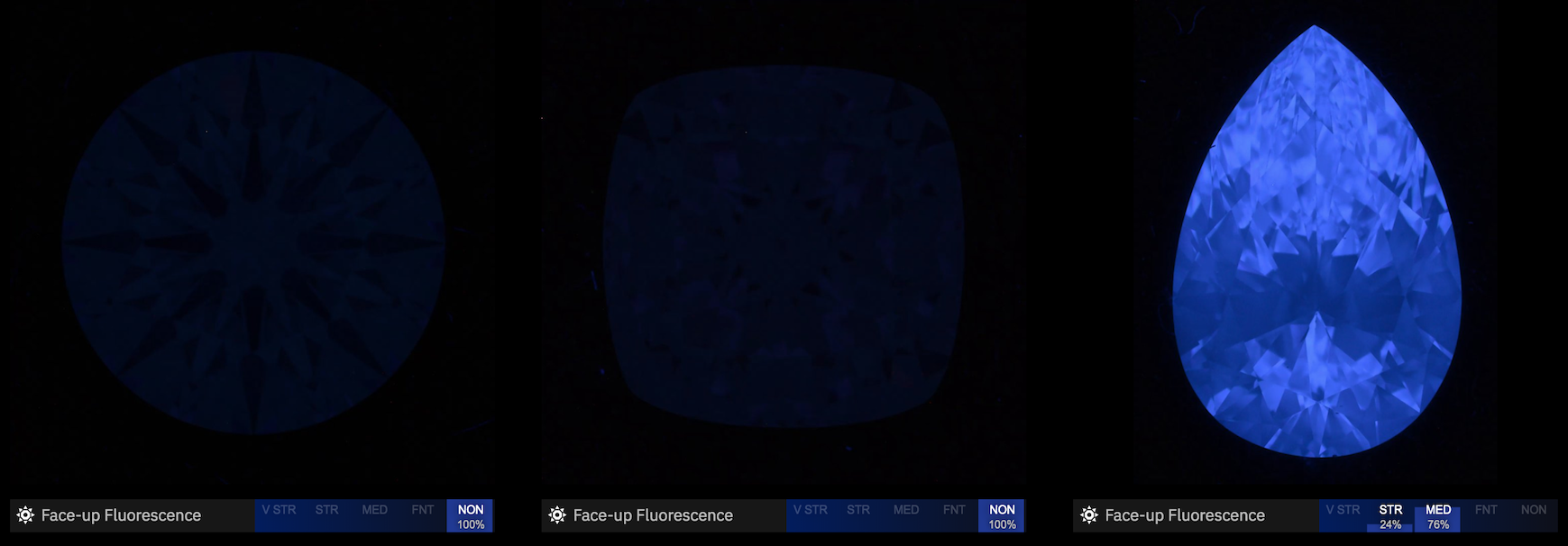 Face-up fluorescence image with the area of each fluorescence grade