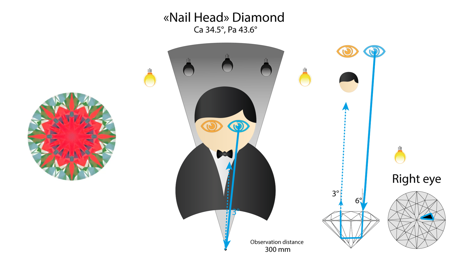 Ray path in a “Nail Head” diamond for the right eye: the facet reflects the observer's head