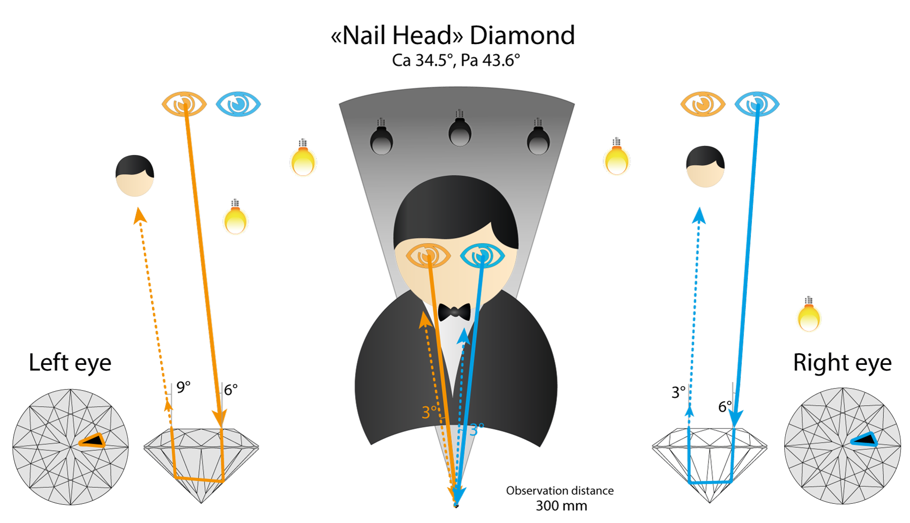Ray path in a “Nail Head” diamond for both eyes: both eyes see the observer's head