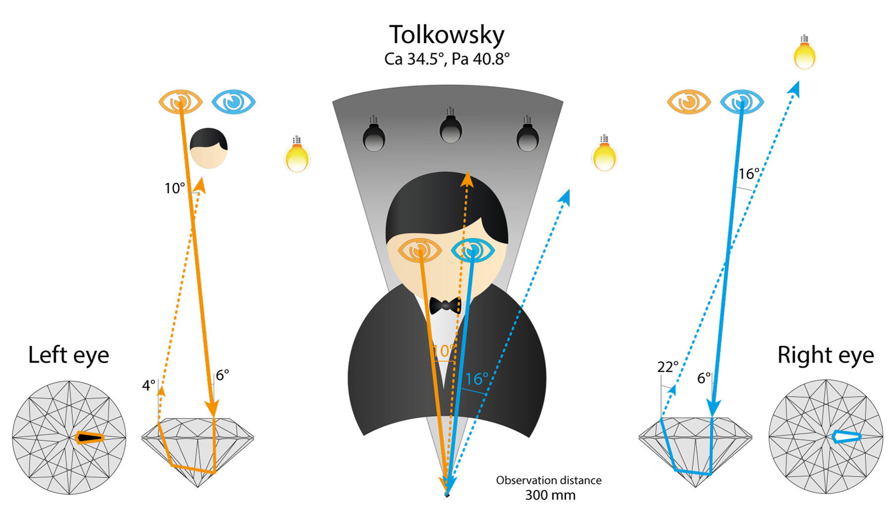 Ray path in a Tolkowsky round for both eyes: the right eye sees a light source, the left eye sees the observer's head